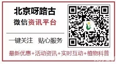 微信订阅号二维码.jpg