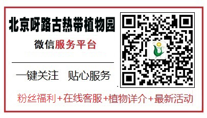 公众号二维码 副本.JPG