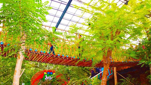 61儿童节 寻找热带雨林中的奇花异果 (11).jpg